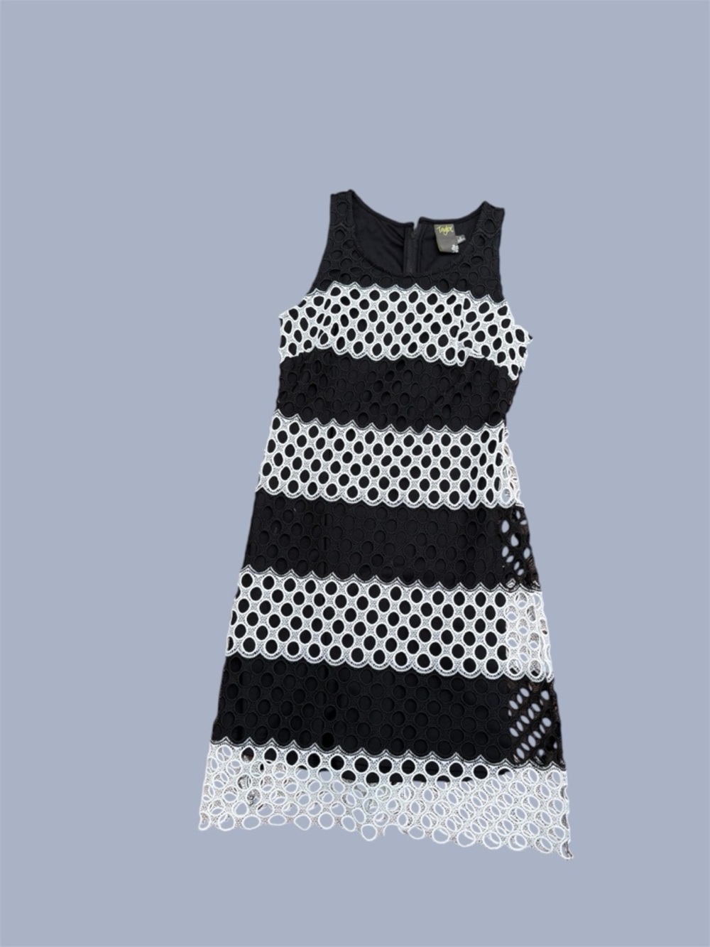 Black and White Lace Stripe Sheath Sleeveless Dress